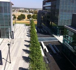 Tarrant County College Downtown Campus